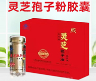 ���K�������﹤�����޹�˾